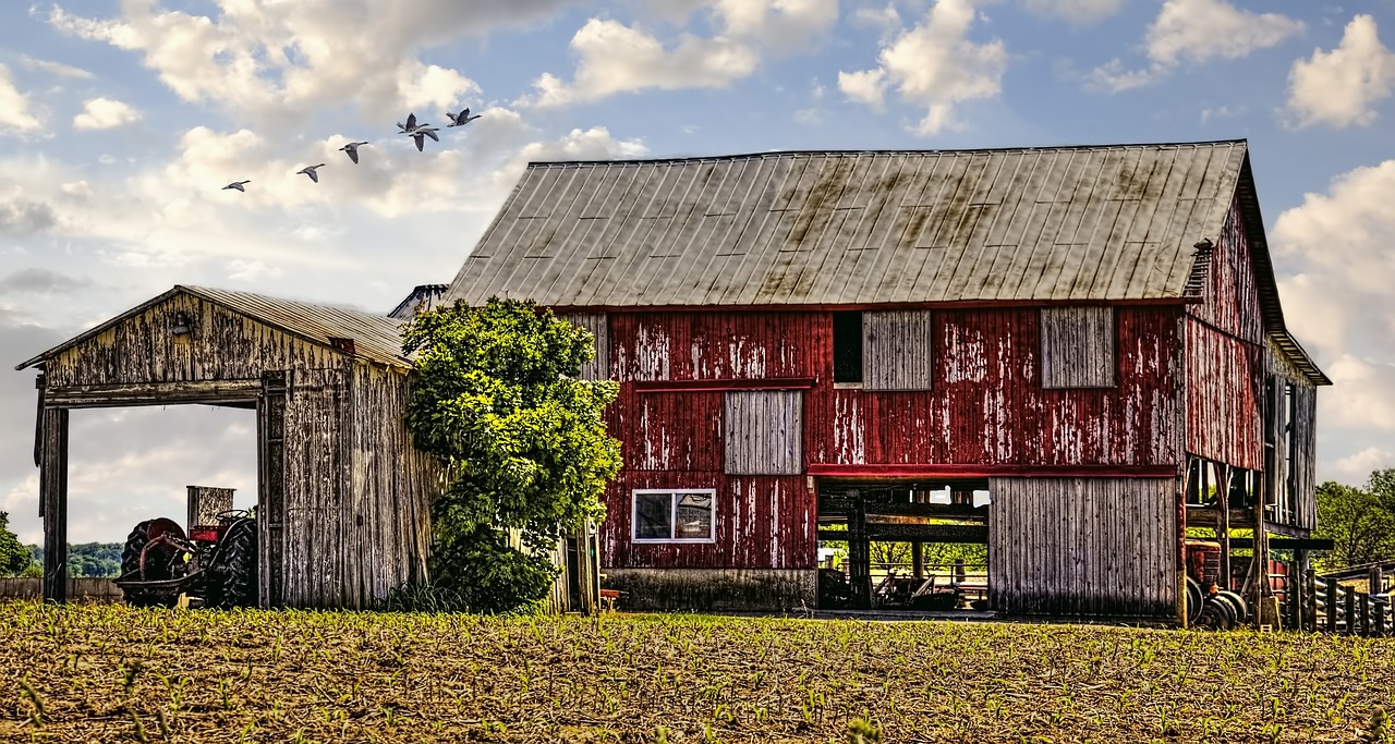 How to Incorporate Farmhouse Elements into Modern Design